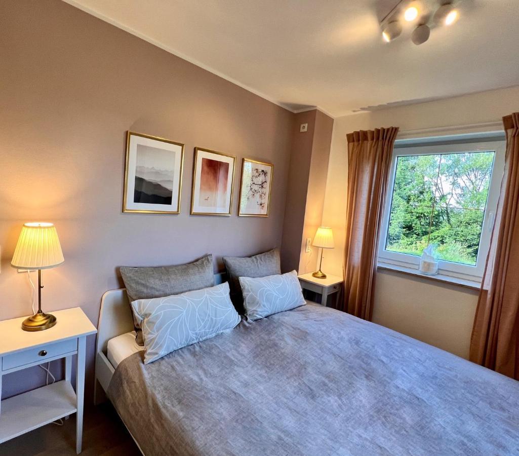 Luxus Ferienhaus Erzgebirge In Alleinlage アルテンベルク エクステリア 写真